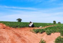 Trânsito: Acidentes deixam feridos no fim de semana em Votuporanga