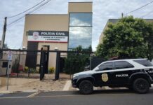 Servidor estadual morre ao ser picado por abelhas enquanto roçava área rural em Rio Preto