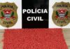 “Encomenda” de ecstasy avaliada em R$ 100 mil é apreendida em Rio Preto