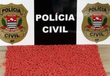 “Encomenda” de ecstasy avaliada em R$ 100 mil é apreendida em Rio Preto