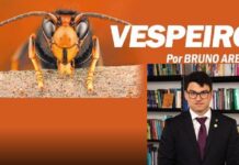 Siglas e Programas. Os bastidos dos partidos políticos