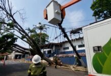 Neoenergia Elektro alerta para o risco de temporais durante passagem de frente fria