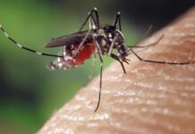 Votuporanga registra o 1º óbito por dengue em 2024
