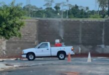 Dengue: 1ª nebulização veicular do ano ocorre nesta semana