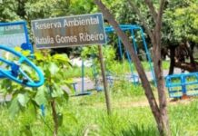 Valdecir Lio pede roçagem em playground e reserva ambiental na zona sul
