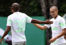 Palmeiras testa três formações em primeiro jogo-treino da temporada e vence de goleada