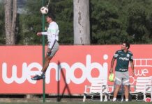 Palmeiras ganha última folga antes de estreia no Paulista