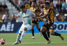 Novorizontino marca no fim e empata com Palmeiras em estreia do Paulistão