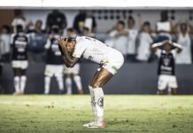 Santos é condenado a seis jogos com portões fechados por brigas em dia da queda