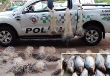 Após denúncia, Polícia Ambiental autua pescador no Rio São José dos Dourados