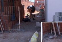 Homem é agredido pelo cunhado com golpes de enxada