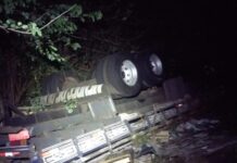 Caminhão carregado com pisos capota em vicinal de Birigui e deixa motorista ferido