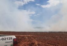 Dono de sítio é multado por colocar fogo em área proibida