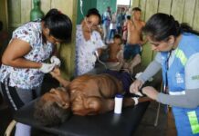 Primeiro ano de governo Lula tem 363 mortes de Yanomamis