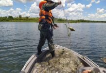 Após 120 dias de duração, Piracema 2023/2024 termina nesta quarta-feira