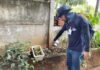Mutirão de combate à Dengue deste sábado será no bairro Vila América