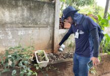 Mutirão de combate à Dengue deste sábado será no bairro Vila América