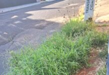 Prefeitura inicia fiscalização de terrenos sujos a partir de 1º de março