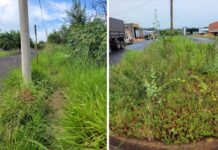 Valdecir Lio pede que Prefeitura realize limpeza e roçagem de áreas públicas