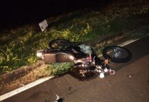 Motociclista morre após atropelar cavalo solto em rodovia de Araçatuba
