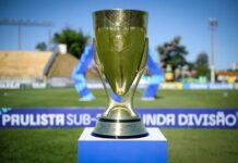 Com Fefecê e outros 16 clubes, Segunda Divisão do Paulistão define regulamento e grupos