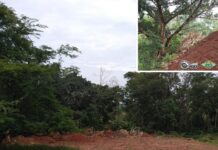 Proprietário rural e empresa são autuados por dano ambiental em Cosmorama