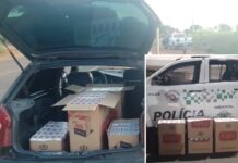 Polícia Ambiental apreende carga de cigarros contrabandeados em Cardoso