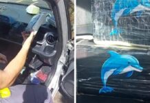 Homem é preso por tráfico de drogas na Rodovia Washington Luís, em Mirassol