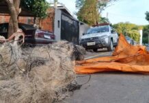 Polícia Ambiental apreende 19 quilômetros de rede em operação contra pesca predatória no rio Tietê