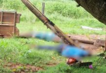 Idoso e genro morrem eletrocutados ao encostarem antena de televisão em fios de alta tensão em sítio