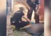 Polícia investiga morte de pit bull com golpes de garfo de churrasco em Votuporanga
