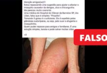 É falso que própolis tenha eficácia como repelente contra o Aedes aegypti