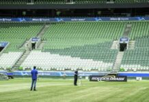 Gramado do Allianz Parque é aprovado por laboratório credenciado pela Fifa