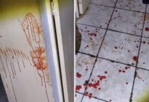 Homem é preso após tentar matar o próprio irmão em Fernandópolis