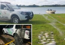 Polícia Ambiental aplica 44 multas durante operação em Votuporanga e região