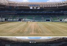 Allianz Parque liberado na sexta-feira? Veja como está o gramado do estádio do Palmeiras