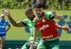 Palmeiras inicia preparação para semifinal do Paulista, e Piquerez treina após corte no Uruguai