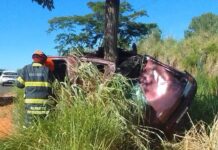 Motorista morre após capotar carro e bater veículo contra árvore em Monte Aprazível