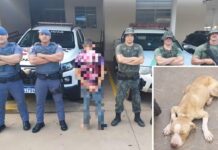 Homem é preso suspeito de deixar pit bulls sem alimento e higiene em Fernandópolis