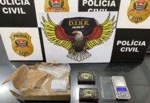Jovem é preso após receber drogas avaliadas em R$ 7 mil pelos Correios em Jales