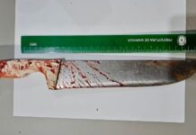 Pedreiro é preso suspeito de agredir ex-esposa e enteada com facão em Ilha Solteira