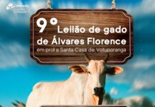 Voluntários de Álvares Florence promovem leilão de gado em prol da Santa Casa em maio
