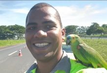 Funcionário de concessionária é surpreendido com papagaio no ombro durante trabalho na Euclides da Cunha