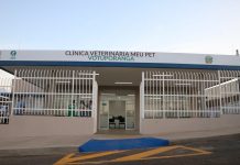 Chandelly desmente boato sobre morte de animais na Clínica Veterinária Municipal