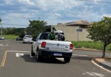 Epidemia: Vila Paes, Vila Budin, Vila Lupo e região receberão nebulização veicular noturna a partir de terça-feira