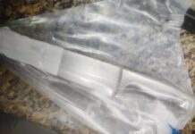 Dois homens são presos por sequestro e agressão em Meridiano