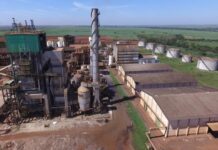 Usina abre inscrições para programa de estágio com mais de 100 vagas na região; veja como se candidatar