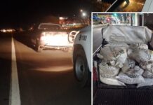 Homem é detido por receptação de ração para frango em Votuporanga