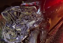 Cavalos soltos na BR-153 provocam acidente com caminhonete em Bady Bassitt