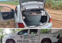 Homem é autuado por transportar irregularmente mais de 100kg de peixes